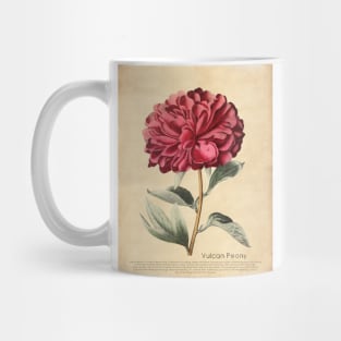 Vulcan Peony With Details Mug